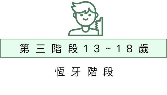 恆牙齒列期